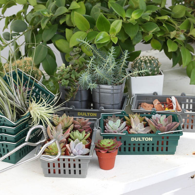 Desktop Basket